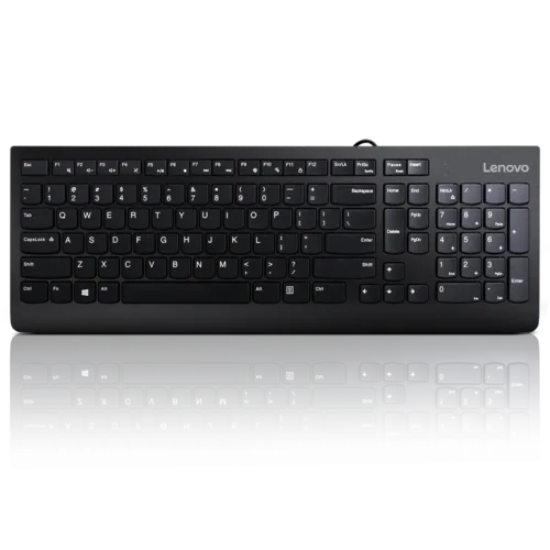 Lenovo 300 USB Keyboard - US English - GX30M39655